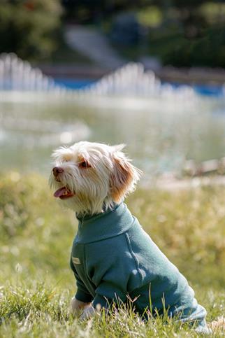 Turtleneck Tshirt | Ocean Sage