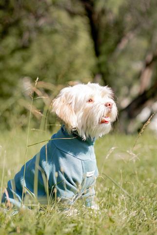 Turtleneck Tshirt | Ocean Sage