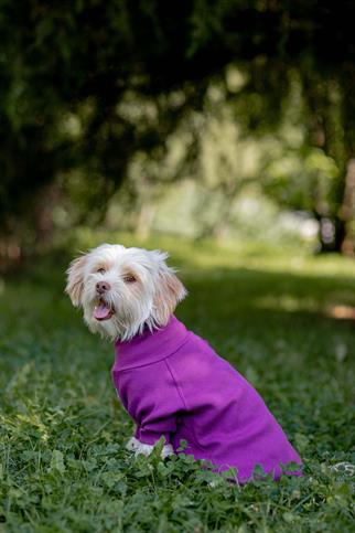 Turtleneck Tshirt | Royal Plum