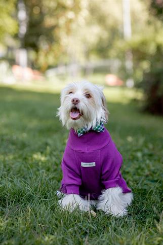 Turtleneck Tshirt | Royal Plum