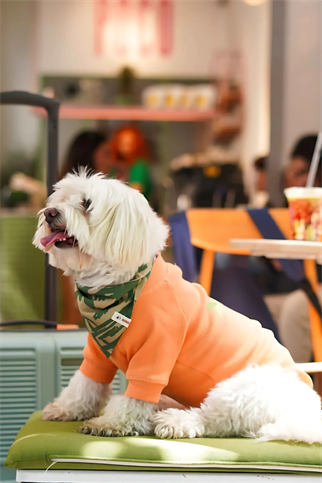 Urban Chic Bandana Bali 