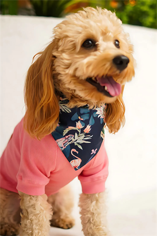 Urban Chic Bandana Miami