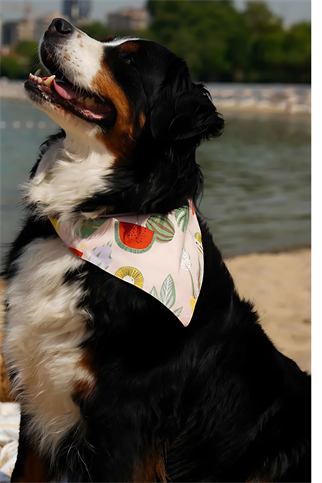 Urban Chic Bandana Rio