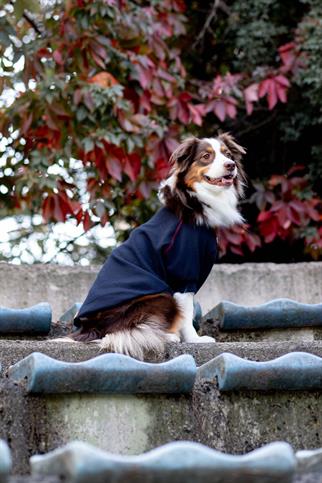 Waffle Tshirt | Royal Blue