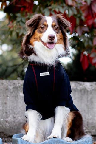 Waffle Tshirt | Royal Blue