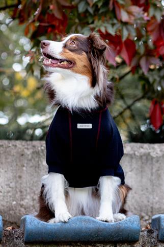 Waffle Tshirt | Royal Blue