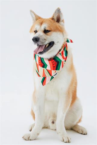 Hypet Fashion Watermelon Bandana