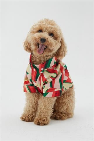 Hypet Fashion Watermelon Köpek Gömleği