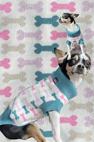 Wild Köpek Kazağı