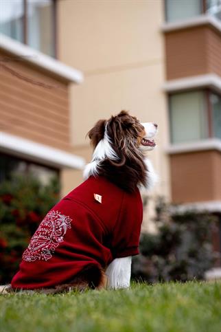 Woofmas | Holiday Harmony