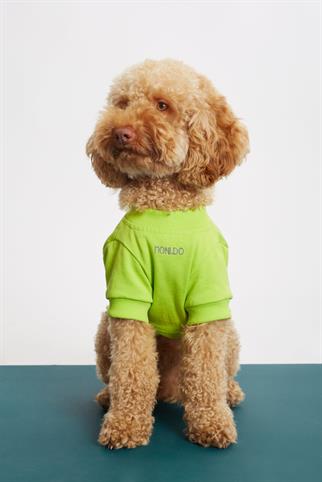 Monido Yeşil İnce Köpek Sweatshirt -