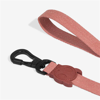 Zee.Dog Canyon Dog Walking Leash