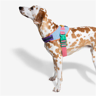 Zee.Dog Galaxy FlyHarness Chest Collar