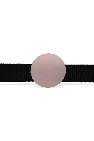 Zee.Dog PINK AIRTAG Kılıfı