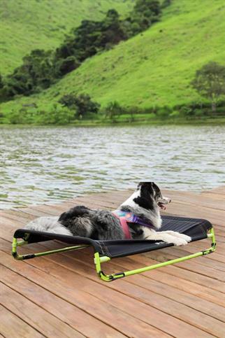 Zee.Bed Black Air.Bed | Dog Bed