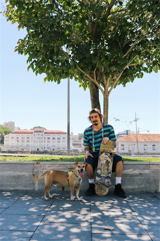 Zee.Dog Lords Of Zee.Town Manifesto H-Tipi Köpek Göğüs Tasması