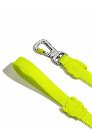 Zee.Dog Neopro Lime Köpek Gezdirme Tasması