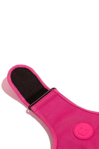 Zee.Dog Pink Led Ayarlanabilir Air Mesh Köpek Göğüs Tasması