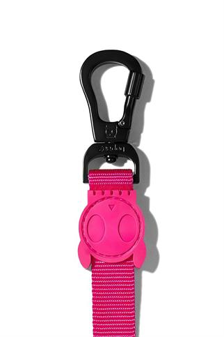 Zee.Dog Pink Led Dog Rolling Chlae