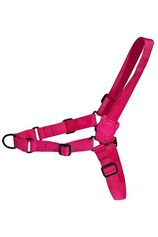 Zee.Dog Pink LED Soft Walk Köpek Göğüs Tasması