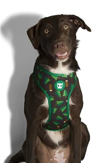 Zee.Dog Woods Air Mesh Dog Breast Station