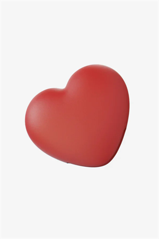 Zee.Dog zee.pinz kalp