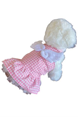 ZiggyDog Angel Köpek Elbisesi