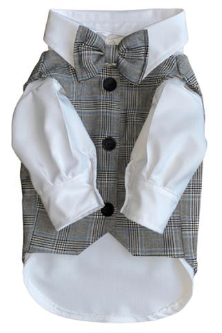 ZiggyDog Gri Köpek Takım Elbise