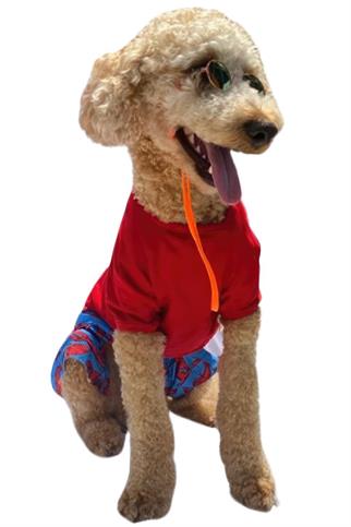 ZiggyDog Kırmızı Köpek Tişörtü