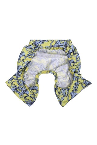 ZiggyDog Köpek Deniz Yüzme Şort-Mayo Ahtapotlu