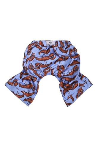 ZiggyDog Köpek Deniz Yüzme Şort-Mayo Istakozlu