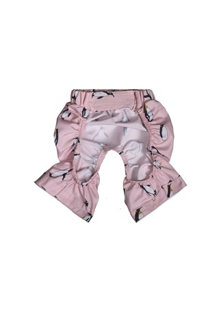 ZiggyDog Köpek Deniz Yüzme Şort-Mayo Penguenli