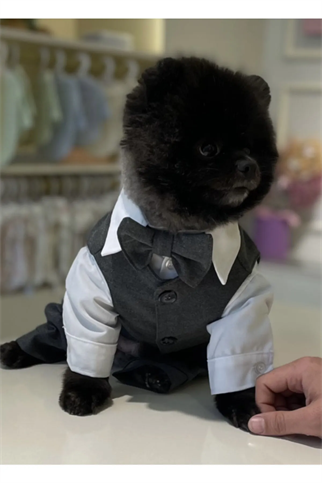 ZiggyDog Dog Clothes Suit Gray