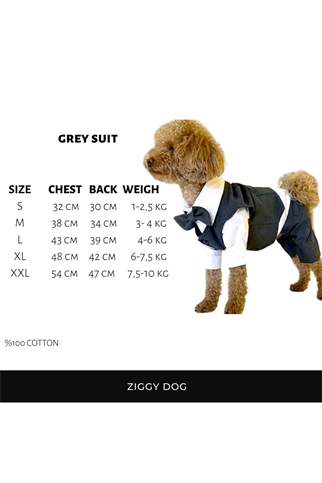 ZiggyDog Dog Clothes Suit Gray