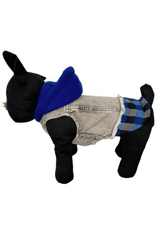 ZiggyDog Mavi Kot Köpek Ceketi