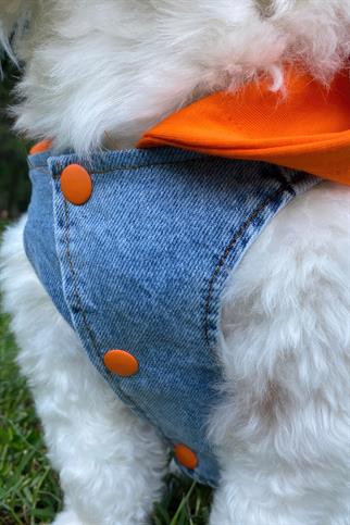 ZiggyDog Turuncu Kot Köpek Ceketi