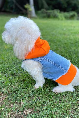 ZiggyDog Turuncu Kot Köpek Ceketi