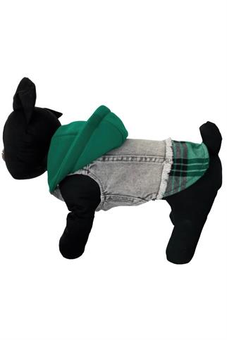 ZiggyDog Yeşil Kot Köpek Ceketi