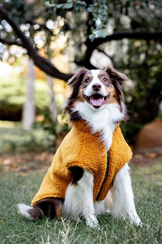 Zippered Sherpa Vest | Golden Mustard