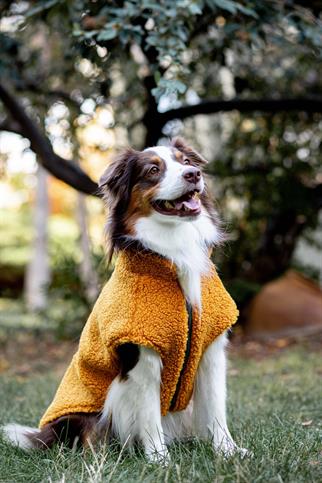 Zippered Sherpa Vest | Golden Mustard
