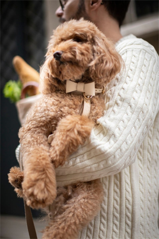 Zoe Pet Atelier Boyun Tasması Mini - Bej 