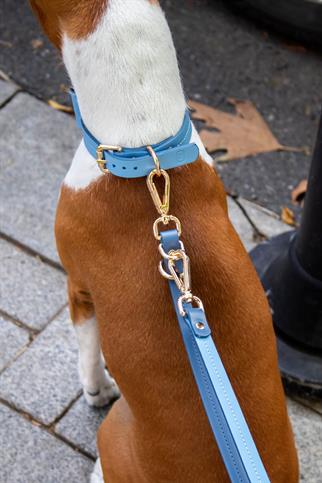Zoe Pet Atelier Classic Neck Collar - Blue