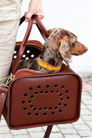 Zoe Pet Atelier Classic Neck Collar - Orange