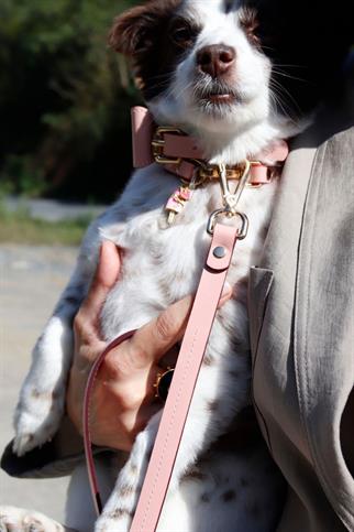 Zoe Pet Atelier Classic Boyun Tasması - Pembe