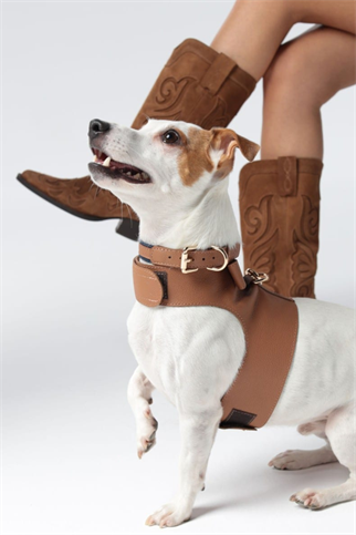 Zoe Pet Atelier Cotton & Leather Boyun Tasması Kahve