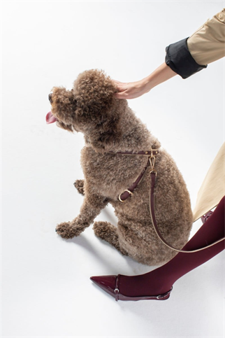 Zoe Pet Atelier Cotton&Leather Cross Göğüs Tasması Bordo 