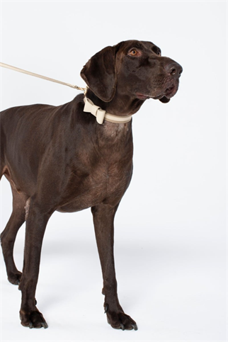 Zoe Pet Atelier Deri Papyon - Bej 