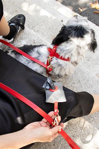 Zoe Pet Atelier Infinity Dog Harness Red