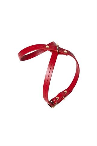 Zoe Pet Atelier Infinity Dog Harness Red