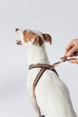 Zoe Pet Atelier Pamuklu Kumaş ve Deri Çapraz Göğüs Tasması Kahve